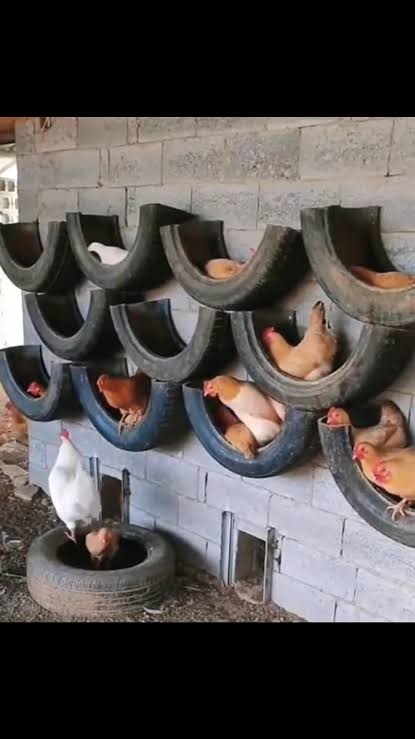 WASTE TO WEALTH: TURNING DISCARDED MATERIALS INTO AGRICULTURAL VALUE